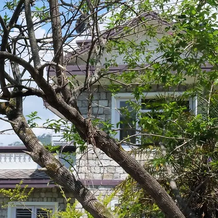Sambodhi Yoga Home