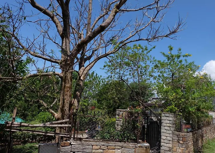 Sambodhi Yoga Resort