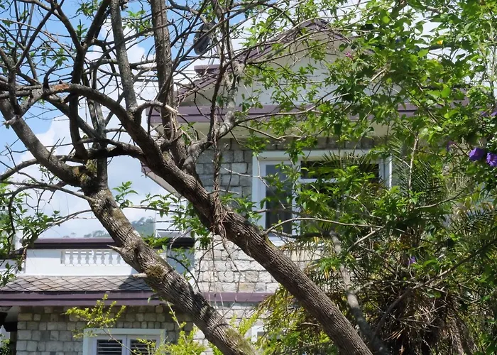 Sambodhi Yoga Resort